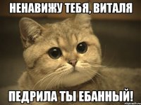 ненавижу тебя, виталя педрила ты ебанный!