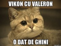 vikon cu valeron o dat de ghini