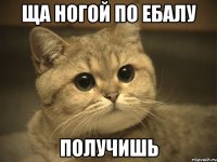 ща ногой по ебалу получишь