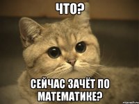 что? сейчас зачёт по математике?