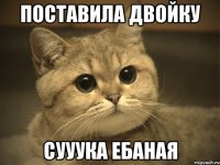 поставила двойку сууука ебаная