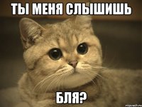 ты меня слышишь бля?