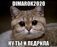 dimarok2020 ну ты и педрила