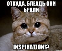 откуда, блеадь они брали inspiration!?