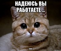 надеюсь вы работаете ... ...