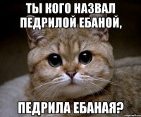 ты кого назвал педрилой ебаной, педрила ебаная?