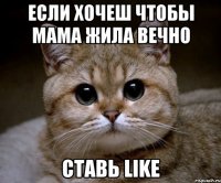 если хочеш чтобы мама жила вечно ставь like