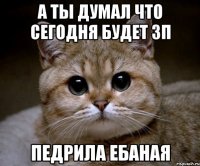 а ты думал что сегодня будет зп педрила ебаная