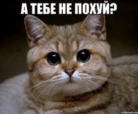 а тебе не похуй? 