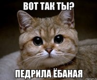 вот так ты? педрила ёбаная