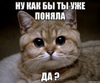 ну как бы ты уже поняла да ?