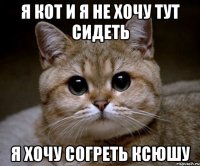 я кот и я не хочу тут сидеть я хочу согреть ксюшу