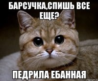 барсучка,спишь все еще? педрила ебанная