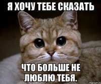 я хочу тебе сказать что больше не люблю тебя.