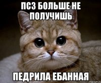 пс3 больше не получишь педрила ебанная