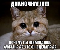 дианочка! !!! почему ты ненавидишь хамзан? ?? что он сделал? ??