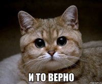  и то верно