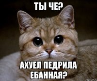 ты че? ахуел педрила ебанная?