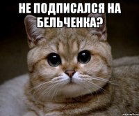 не подписался на бельченка? 