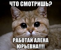 что смотришь? работай алена юрьевна!!!