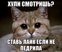 хули смотришь? ставь лайк если не педрила