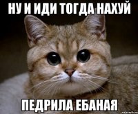 ну и иди тогда нахуй педрила ебаная