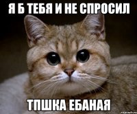 я б тебя и не спросил тпшка ебаная