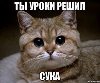 ты уроки решил сука