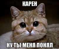 карен ну ты меня понял