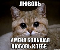 лювовь у меня большая любовь к тебе;*