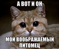 а вот и он мой воображаемый питомец