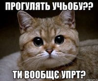 прогулять учьобу?? ти вообщє упрт?