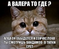 а валера то где ? ага,а он обыделся и сейчас,пока ты смотришь вандамов- в тапки срет