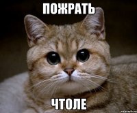 пожрать чтоле