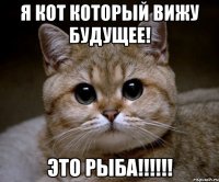 я кот который вижу будущее! это рыба!!!