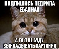 подпишись педрила ебанная а то я не буду выкладывать картинки