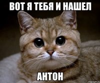 вот я тебя и нашел антон