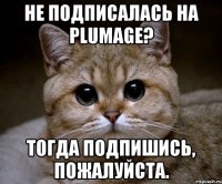 не подписалась на plumage? тогда подпишись, пожалуйста.