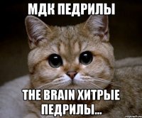 мдк педрилы the brain хитрые педрилы...