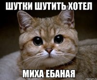 шутки шутить хотел миха ебаная