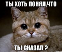 ты хоть понял,что ты сказал ?