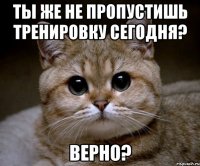 ты же не пропустишь тренировку сегодня? верно?