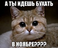 а ты идешь бухать в ноябре???