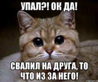 упал?! ок да! свалил на друга, то что из за него!