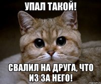 упал такой! свалил на друга, что из за него!