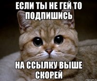 если ты не гей то подпишись на ссылку выше скорей