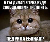 а ты думал я тебя буду сообщениями троллить, педрила ебаная?