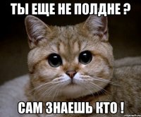 ты еще не полдне ? сам знаешь кто !