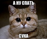 а ну спать сука