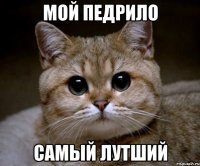 мой педрило самый лутший